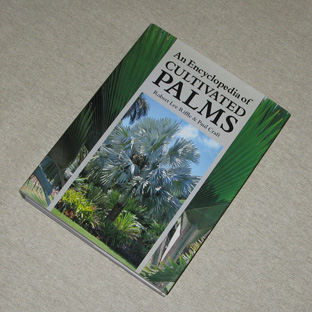Pépinière Palmaris Livre An Encyclopedia of Cultivated  Palms